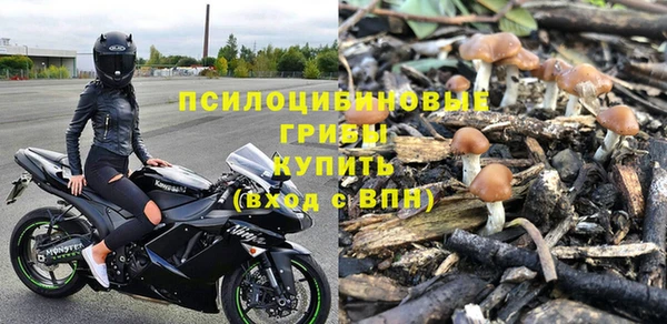 амфетамин Алексеевка