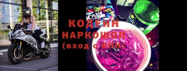 хмурый Алзамай