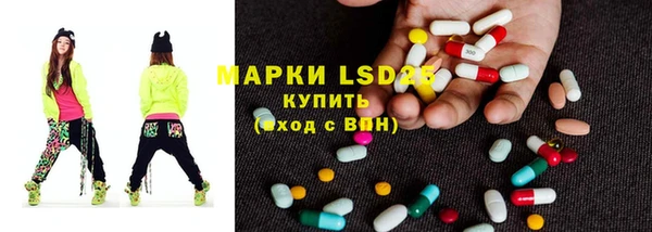 хмурый Алзамай